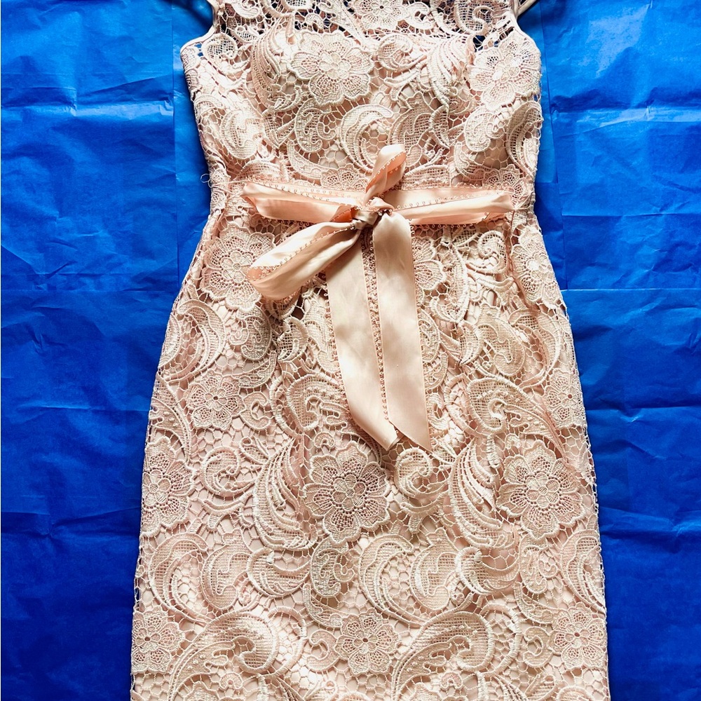 Adrianna Papell Blush Lace Midi Dress